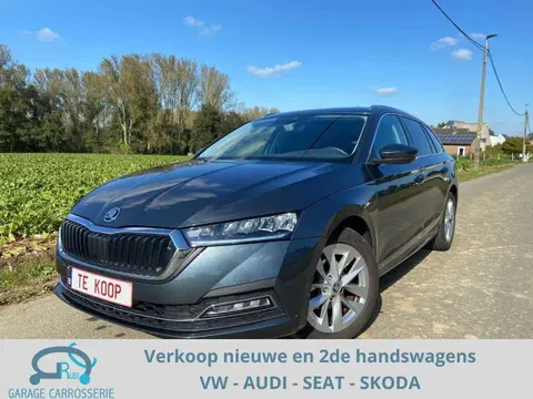 Used SKODA OCTAVIA Petrol 2021 Ad 