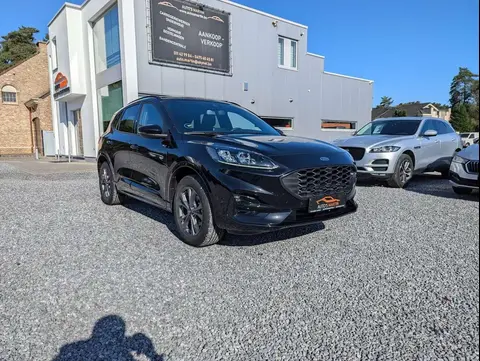 Used FORD KUGA Hybrid 2023 Ad 