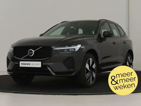 Used VOLVO XC60 Hybrid 2023 Ad 