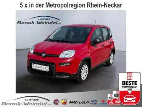 Used FIAT PANDA Hybrid 2024 Ad 