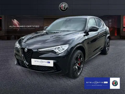 Used ALFA ROMEO STELVIO Petrol 2023 Ad 