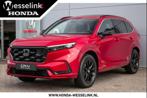 Annonce HONDA CR-V Hybride 2024 d'occasion 