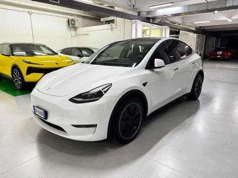 Used TESLA MODEL Y Electric 2023 Ad 