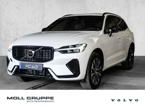 Annonce VOLVO XC60 Essence 2024 d'occasion 