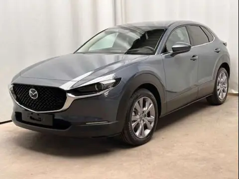 Annonce MAZDA CX-30 Essence 2024 d'occasion 