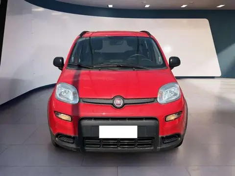 Annonce FIAT PANDA Hybride 2022 d'occasion 