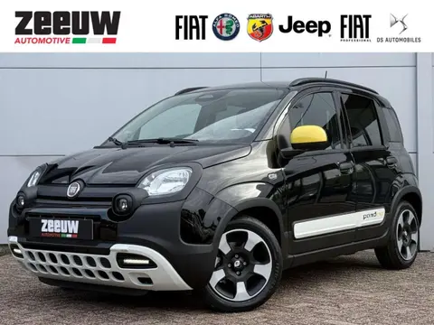 Annonce FIAT PANDA Essence 2024 d'occasion 