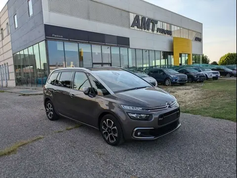 Annonce CITROEN C4 Diesel 2020 d'occasion 