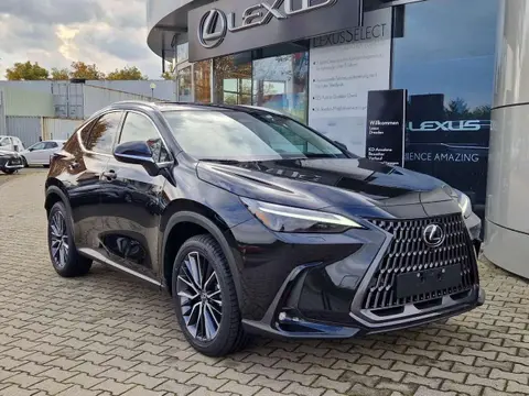 Used LEXUS NX Hybrid 2024 Ad 