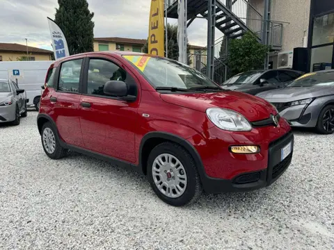 Annonce FIAT PANDA Hybride 2024 d'occasion 