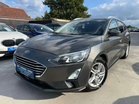 Used FORD FOCUS Diesel 2019 Ad 