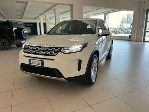 Used LAND ROVER DISCOVERY Hybrid 2020 Ad 