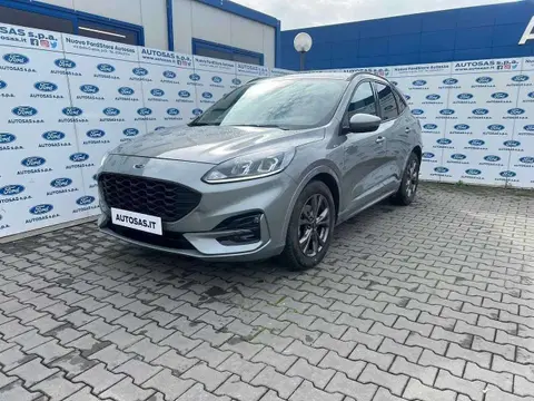 Annonce FORD KUGA Diesel 2022 d'occasion 