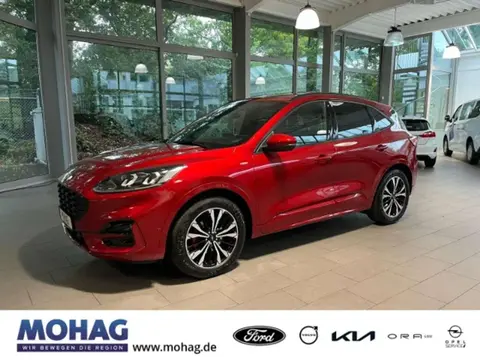 Annonce FORD KUGA Essence 2020 d'occasion 