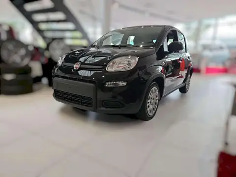 Used FIAT PANDA Petrol 2024 Ad 