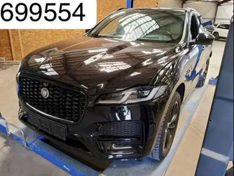 Used JAGUAR F-PACE Hybrid 2021 Ad 