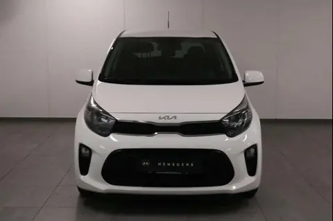 Used KIA PICANTO Petrol 2022 Ad 