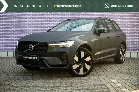 Annonce VOLVO XC60 Hybride 2024 d'occasion 