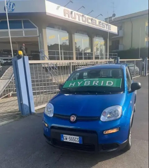 Used FIAT PANDA Hybrid 2024 Ad 