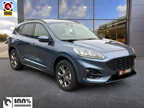 Annonce FORD KUGA Hybride 2023 d'occasion 