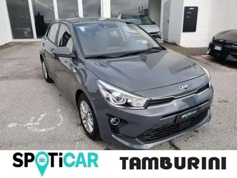 Used KIA RIO Hybrid 2021 Ad 