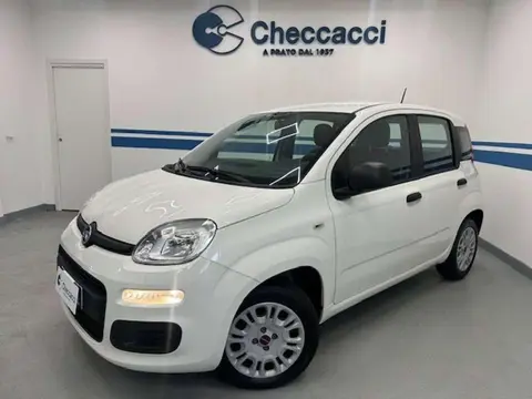 Annonce FIAT PANDA Essence 2020 d'occasion 