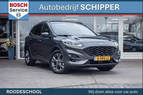 Annonce FORD KUGA Hybride 2023 d'occasion 