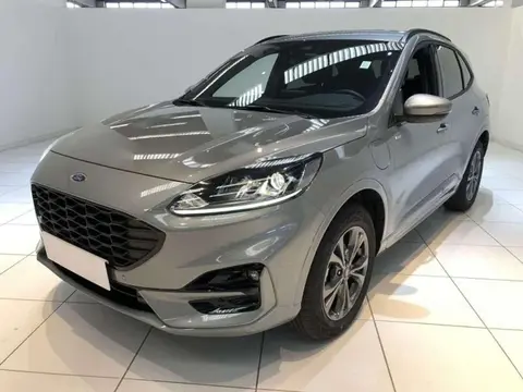 Annonce FORD KUGA Hybride 2023 d'occasion 