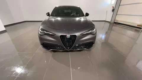 Annonce ALFA ROMEO STELVIO Diesel 2024 d'occasion 