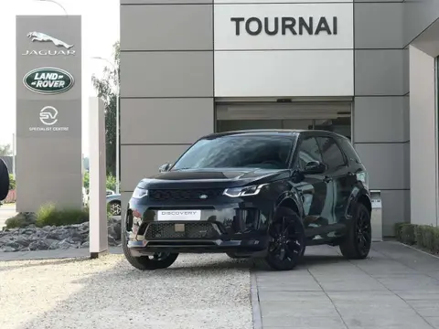 Used LAND ROVER DISCOVERY Hybrid 2024 Ad Belgium