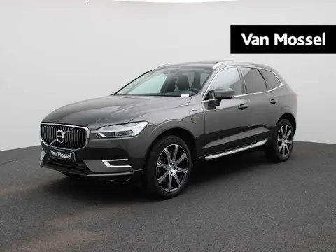 Annonce VOLVO XC60 Essence 2020 d'occasion 