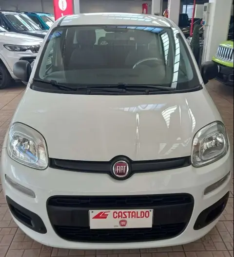 Used FIAT PANDA Petrol 2020 Ad 