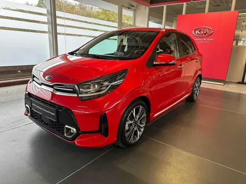 Used KIA PICANTO Petrol 2021 Ad 