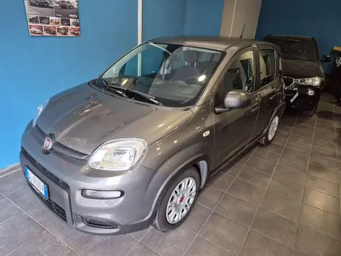 Used FIAT PANDA LPG 2023 Ad 