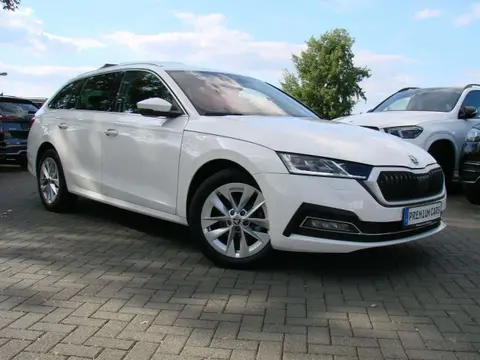 Used SKODA OCTAVIA Diesel 2020 Ad 