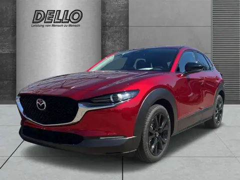 Annonce MAZDA CX-30 Essence 2024 d'occasion Allemagne