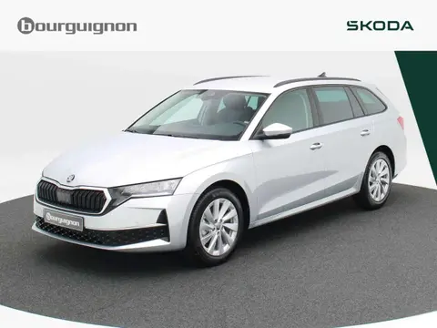 Used SKODA OCTAVIA Petrol 2024 Ad 