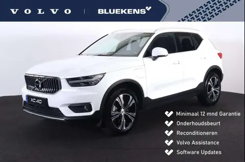 Used VOLVO XC40 Hybrid 2022 Ad 