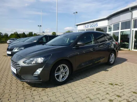 Annonce FORD FOCUS Diesel 2019 d'occasion 