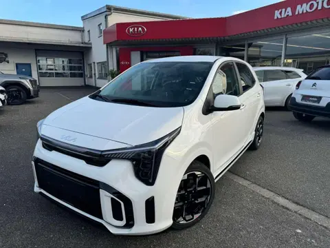 Used KIA PICANTO Petrol 2024 Ad 