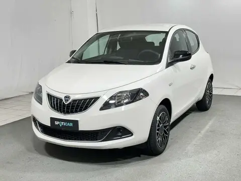 Used LANCIA YPSILON Hybrid 2024 Ad 