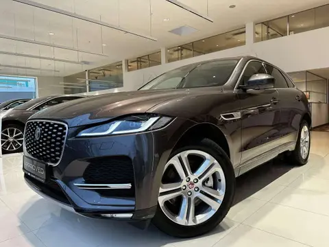 Annonce JAGUAR F-PACE Hybride 2023 d'occasion 