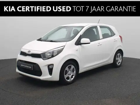 Annonce KIA PICANTO Essence 2019 d'occasion 