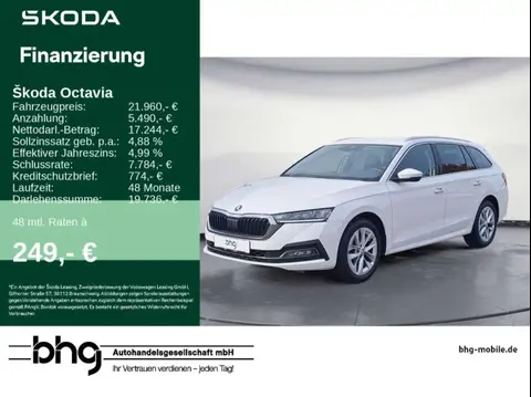 Annonce SKODA OCTAVIA Diesel 2022 d'occasion 