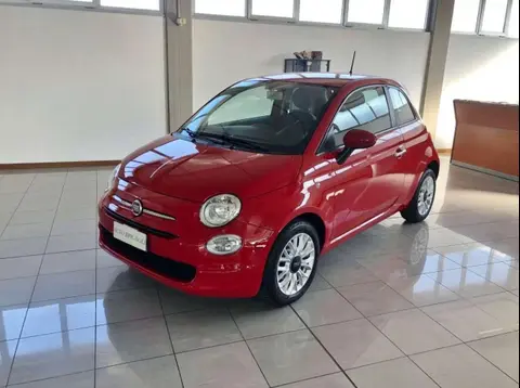 Used FIAT 500 Petrol 2019 Ad 