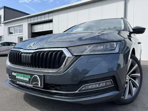 Annonce SKODA OCTAVIA Diesel 2021 d'occasion 