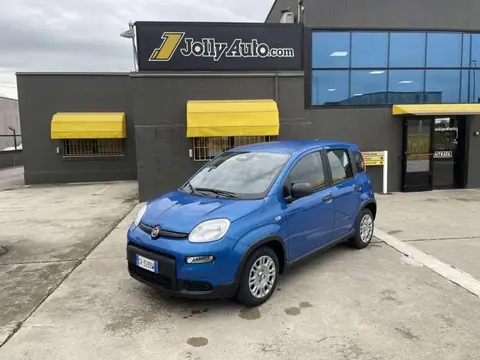 Annonce FIAT PANDA Hybride 2024 d'occasion 