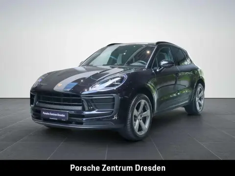 Used PORSCHE MACAN Petrol 2024 Ad 