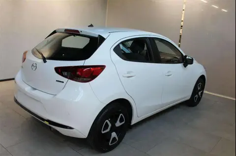 Annonce MAZDA 2 Essence 2024 d'occasion 