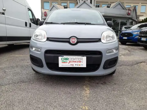 Used FIAT PANDA Petrol 2019 Ad 